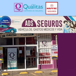 Oficina Qualitas 3